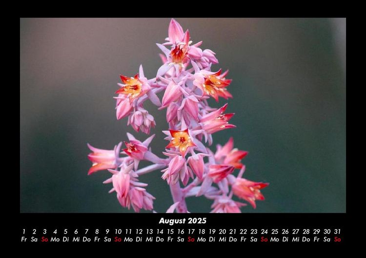 Produktbild: Bilder der Natur 2025 Fotokalender DIN A3