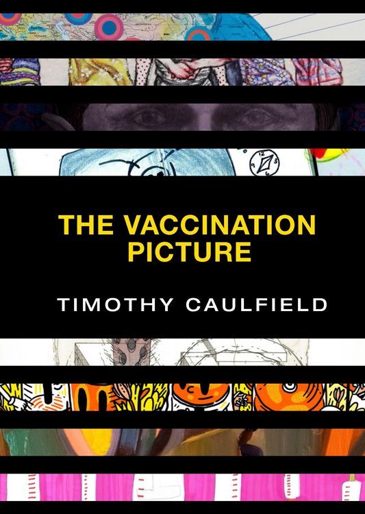 Produktbild: The Vaccination Picture