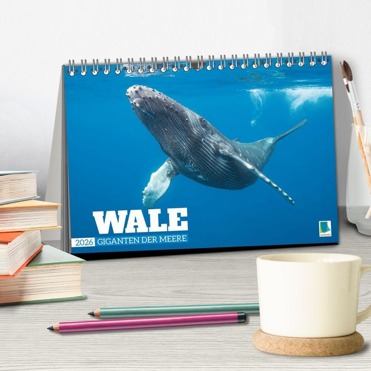 Produktbild: Wale: Giganten der Meere (Tischkalender 2026 DIN A5 quer), CALVENDO Monatskalender