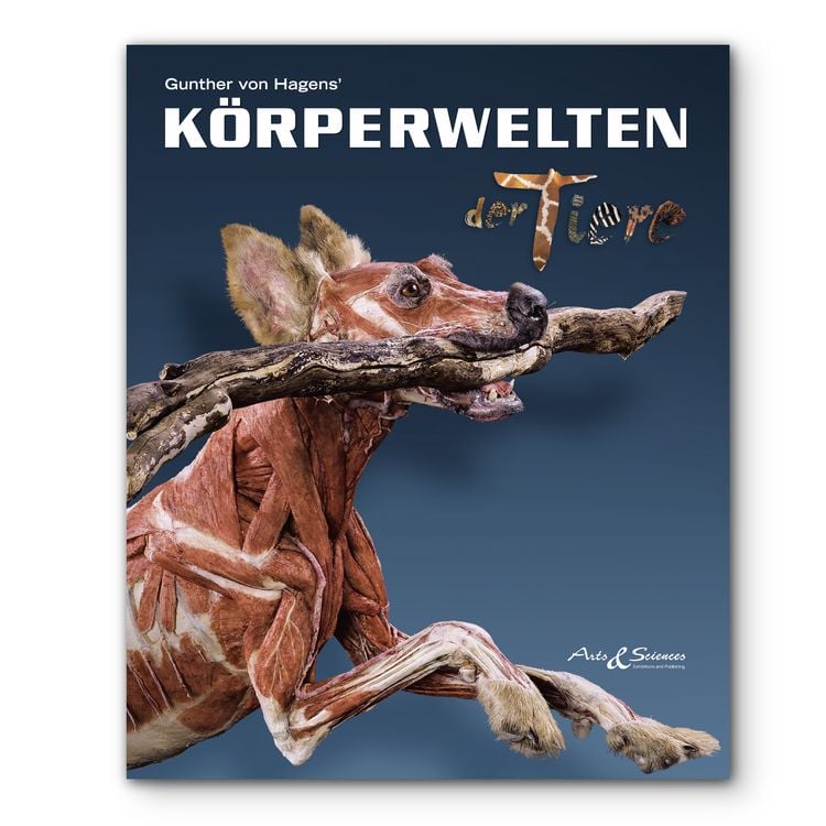 Produktbild: K&ouml;rperwelten der Tiere
