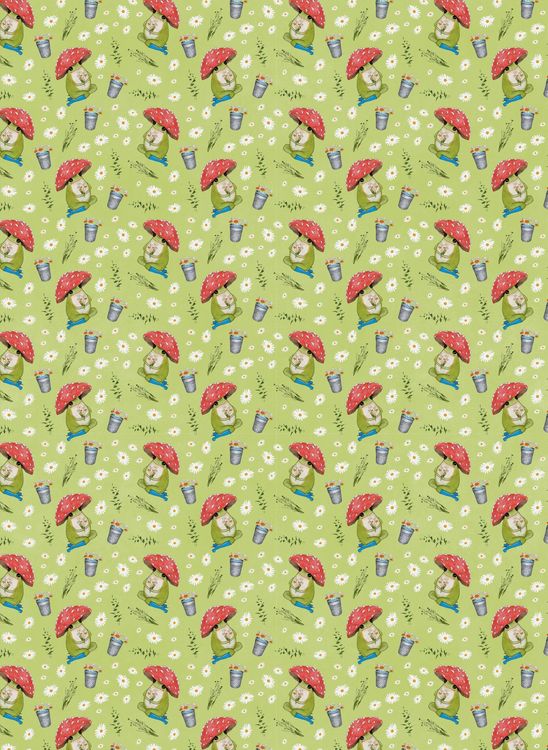 Produktbild: The Little Frog Wrapping Paper Book