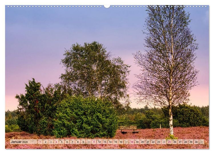 Produktbild: L&uuml;neburger S&uuml;dheide (hochwertiger Premium Wandkalender 2026 DIN A2 quer), Kunstdruck in Hochglanz