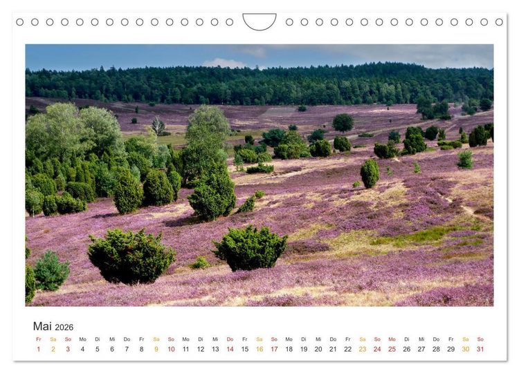 Produktbild: Niedersachsen - Meer, Heide, Harz (Wandkalender 2026 DIN A4 quer), CALVENDO Monatskalender