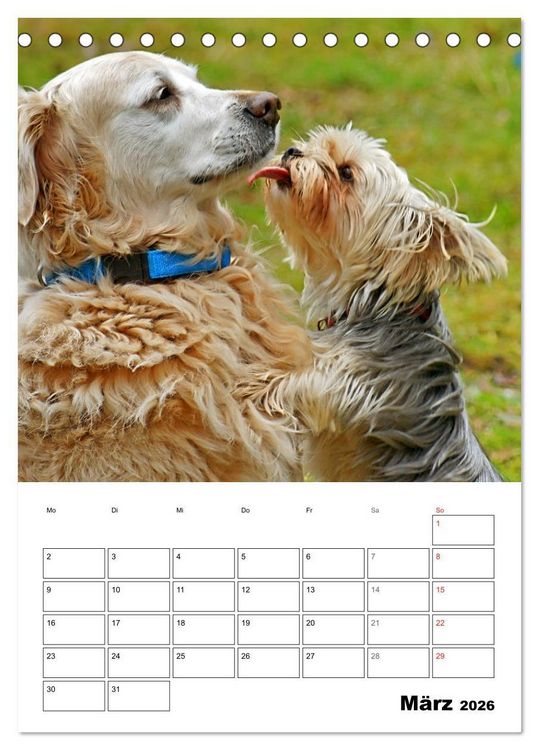 Produktbild: Hunde Freunde (Tischkalender 2026 DIN A5 hoch), CALVENDO Monatskalender