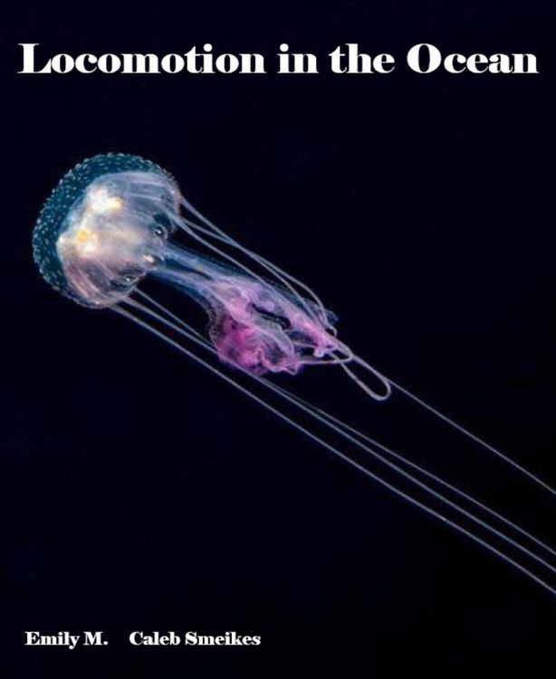 Produktbild: Locomotion in the Ocean