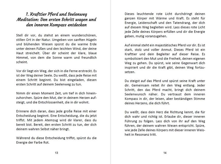 Produktbild: 52 Seelenweg und Krafttier Meditationen