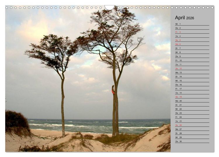 Produktbild: Die Ostsee (Wandkalender 2026 DIN A3 quer), CALVENDO Monatskalender