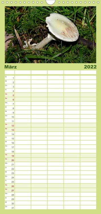 Produktbild: Familienplaner Pilze, Pilze (Wandkalender 2022 , 21 cm x 45 cm, hoch)
