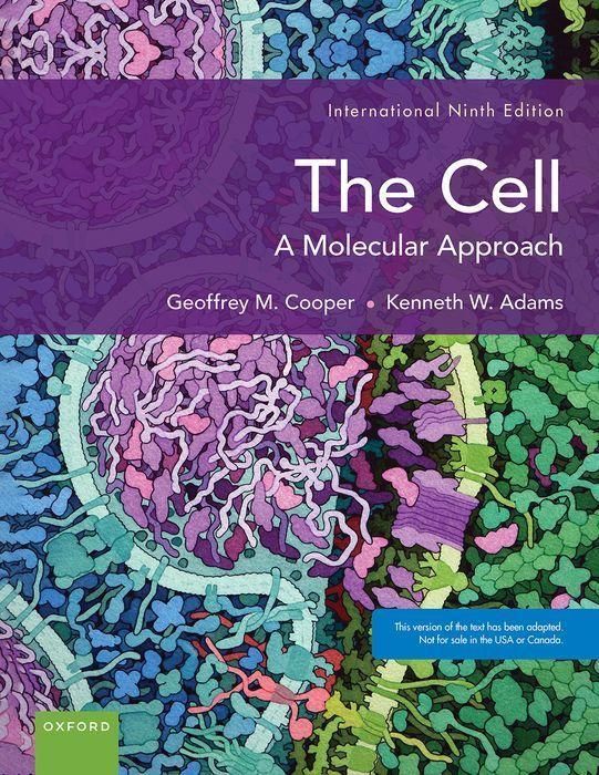 Produktbild: The Cell
