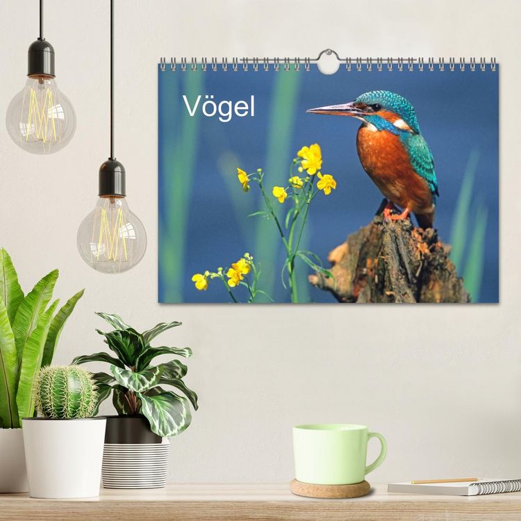 Produktbild: V&ouml;gel (Wandkalender 2026 DIN A4 quer), CALVENDO Monatskalender