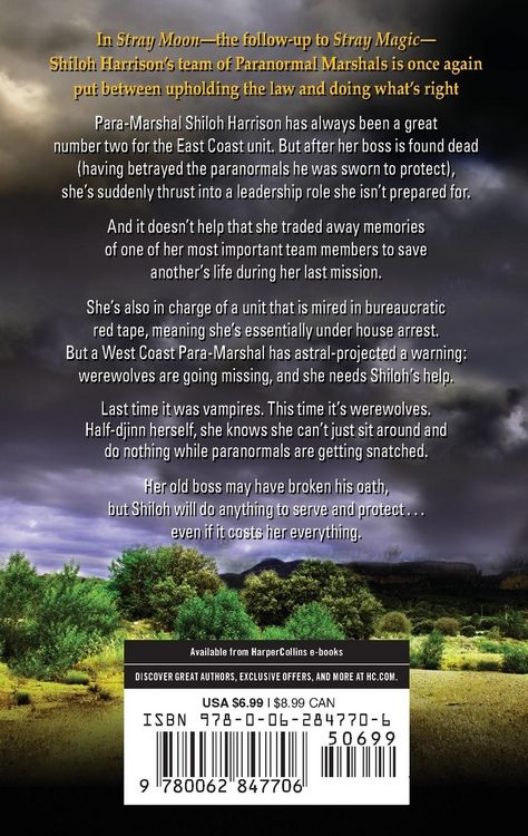 Produktbild: Stray Moon