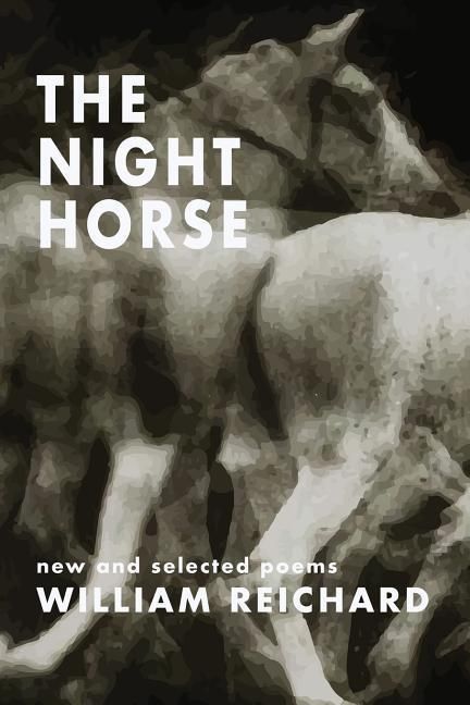 Produktbild: The Night Horse