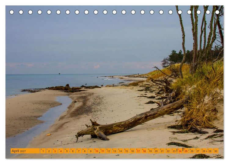 Produktbild: Wilder Dar&szlig;er Weststrand (Tischkalender 2027 DIN A5 quer), CALVENDO Monatskalender