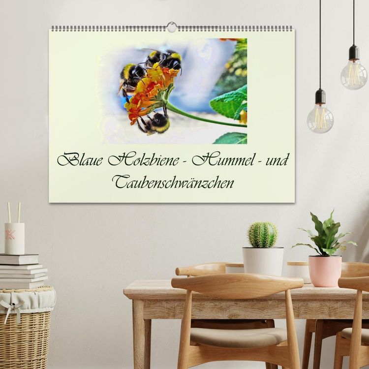 Produktbild: Blaue Holzbiene &ndash; Hummel &ndash; und Taubenschw&auml;nzchen. (Wandkalender 2026 DIN A2 quer), CALVENDO Monatskalender