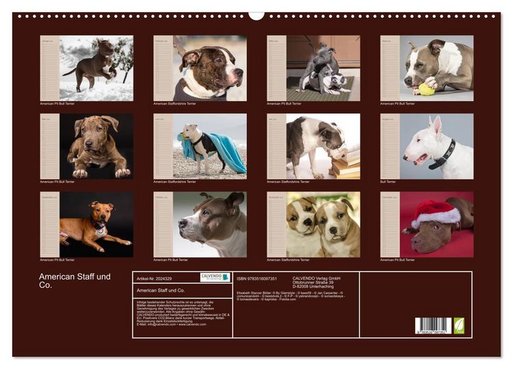 Produktbild: American Staff und Co. (Wandkalender 2026 DIN A2 quer), CALVENDO Monatskalender
