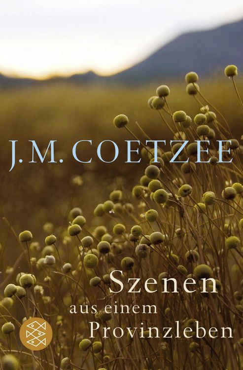 Produktbild: Szenen aus einem Provinzleben