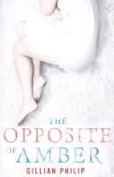 Produktbild: The Opposite of Amber