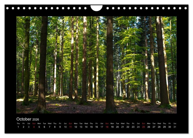 Produktbild: The Black Forest - UK Version (Wall Calendar 2026 DIN A4 landscape), CALVENDO 12 Month Wall Calendar