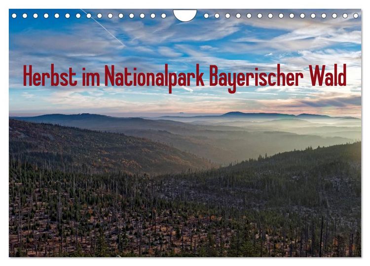 Produktbild: Herbst im Nationalpark Bayerischer Wald (Wandkalender 2026 DIN A4 quer), CALVENDO Monatskalender