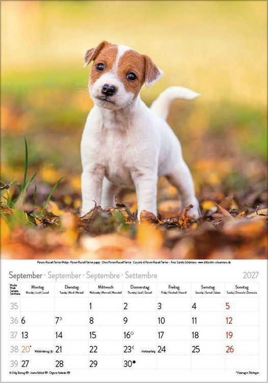 Produktbild: Hunde 2027