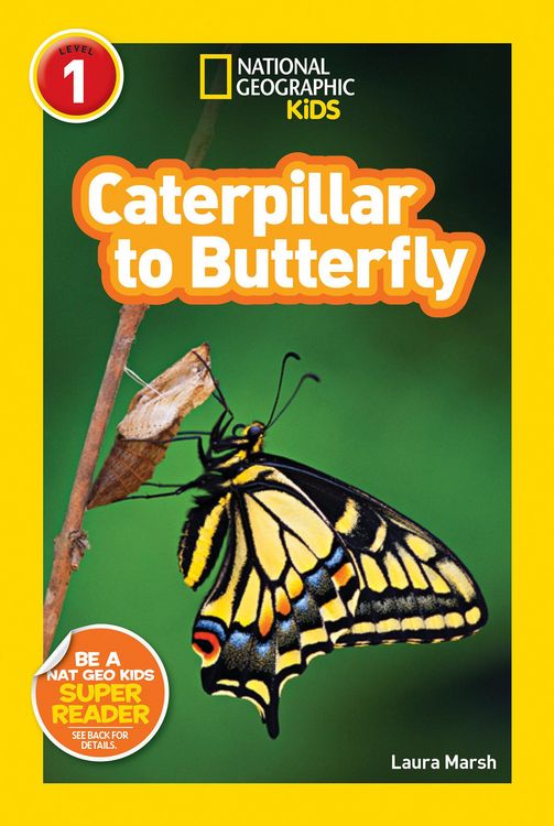 Produktbild: Caterpillar to Butterfly (National Geographic Kids Readers, Level 1)