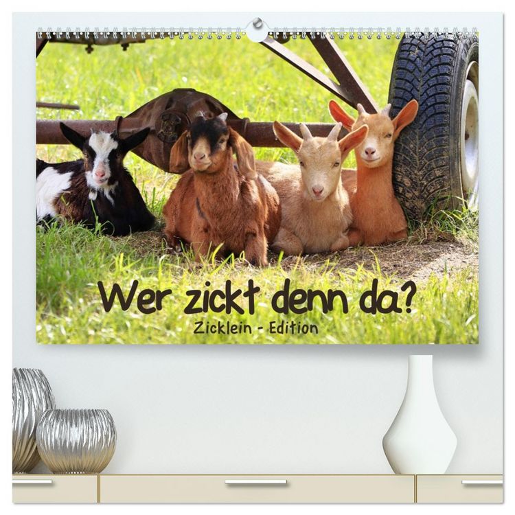 Produktbild: Wer zickt denn da? - Zicklein-Edition (hochwertiger Premium Wandkalender 2026 DIN A2 quer), Kunstdruck in Hochglanz