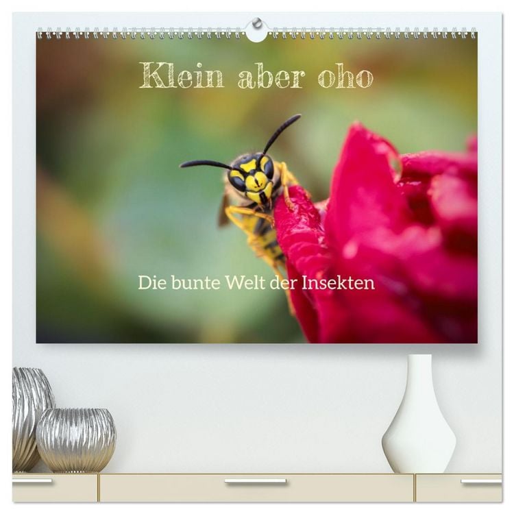 Produktbild: Klein aber oho. Die bunte Welt der Insekten (hochwertiger Premium Wandkalender 2026 DIN A2 quer), Kunstdruck in Hochglanz