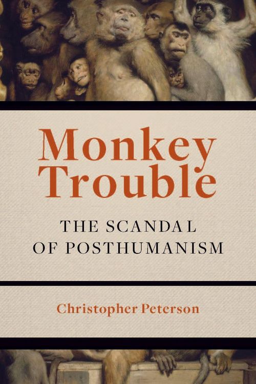 Produktbild: Monkey Trouble