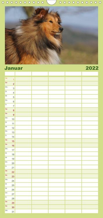 Produktbild: Sheltie 2022 - Familienplaner hoch (Wandkalender 2022 , 21 cm x 45 cm, hoch)