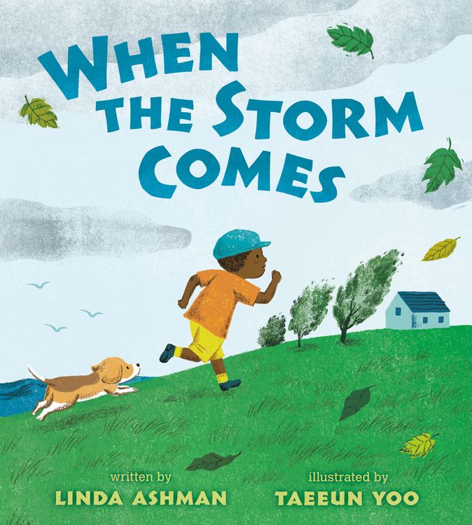 Produktbild: When the Storm Comes