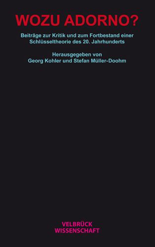 Produktbild: Wozu Adorno?
