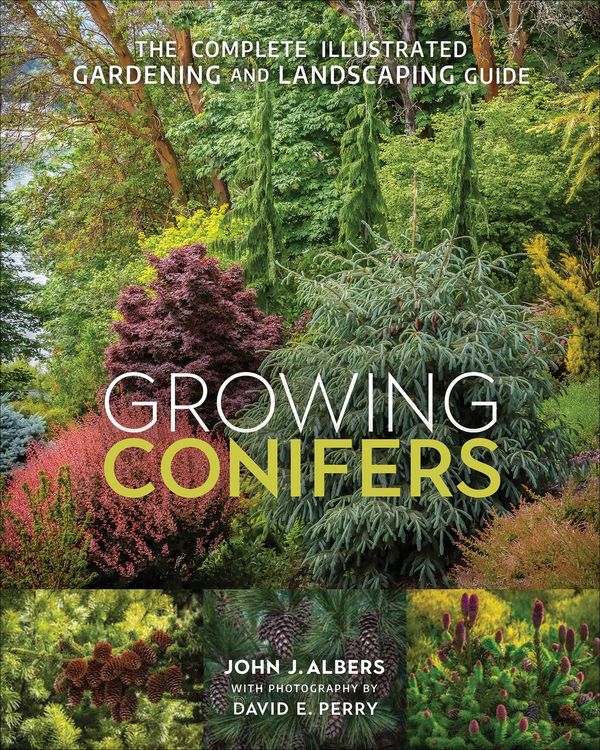 Produktbild: Growing Conifers