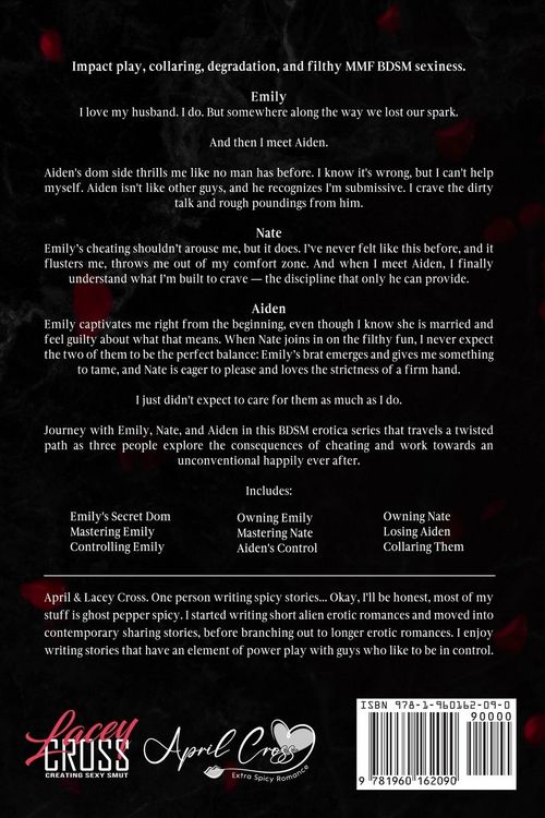 Produktbild: Illicit Desires the Complete Series