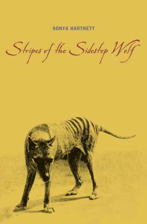 Produktbild: Stripes of the Sidestep Wolf