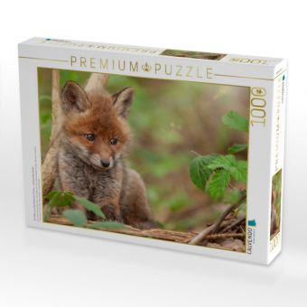 Produktbild: CALVENDO Puzzle Ein Motiv aus dem Kalender F&uuml;chse - zauberhafte Seelen | 1000 Teile Lege-Gr&ouml;&szlig;e 64x48cm Foto-Puzzle f&uuml;r gl&uuml;ckliche Stunden