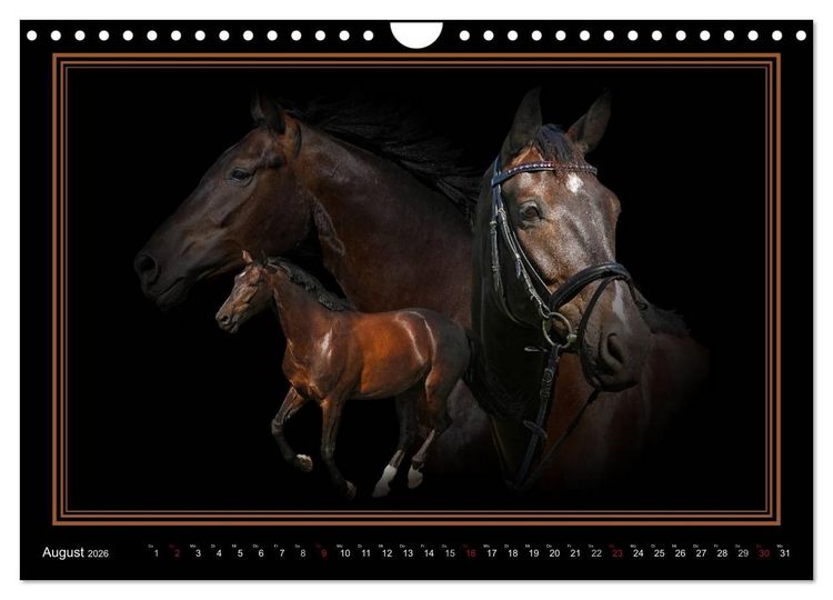 Produktbild: Traumpferde-ART-Collection (Wandkalender 2026 DIN A4 quer), CALVENDO Monatskalender
