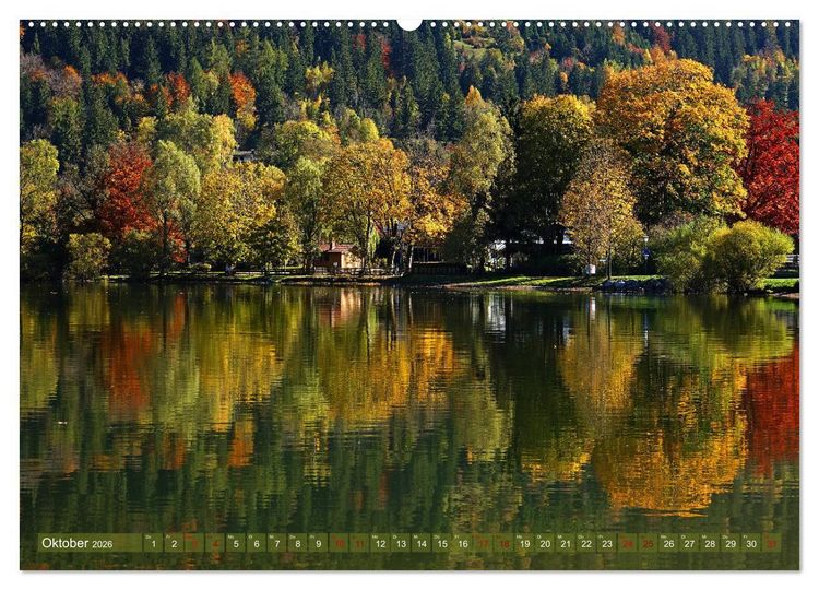 Produktbild: Mit B&auml;umen durchs Jahr (hochwertiger Premium Wandkalender 2026 DIN A2 quer), Kunstdruck in Hochglanz
