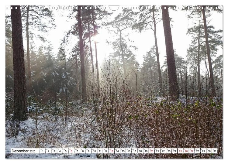 Produktbild: LINGEN an der Ems (Wandkalender 2026 DIN A3 quer), CALVENDO Monatskalender