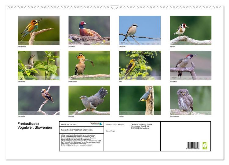 Produktbild: Fantastische Vogelwelt Slowenien (Wandkalender 2026 DIN A2 quer), CALVENDO Monatskalender