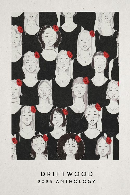 Produktbild: Driftwood Press 2025 Anthology