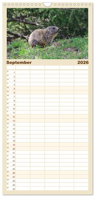 Produktbild: Familienplaner 2026 - Alpen Blick mit 5 Spalten (Wandkalender, 21 x 45 cm) CALVENDO
