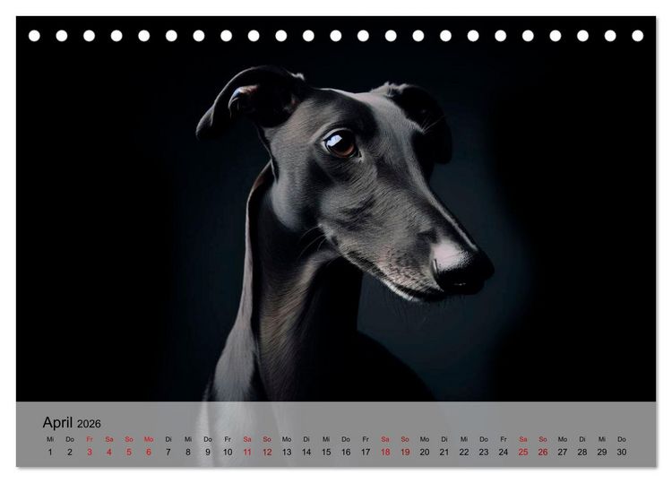 Produktbild: Black is beautiful (Tischkalender 2026 DIN A5 quer), CALVENDO Monatskalender
