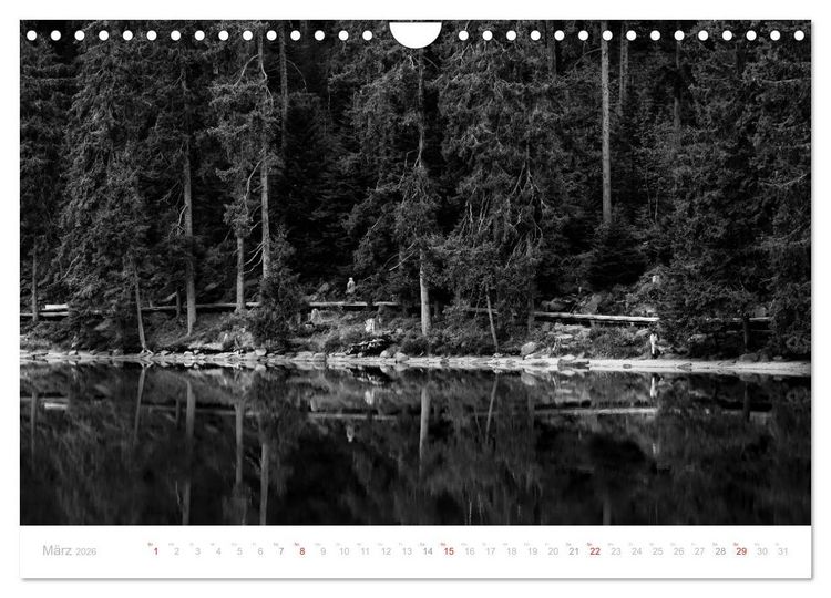 Produktbild: Mystischer Schwarzwald (Wandkalender 2026 DIN A4 quer), CALVENDO Monatskalender