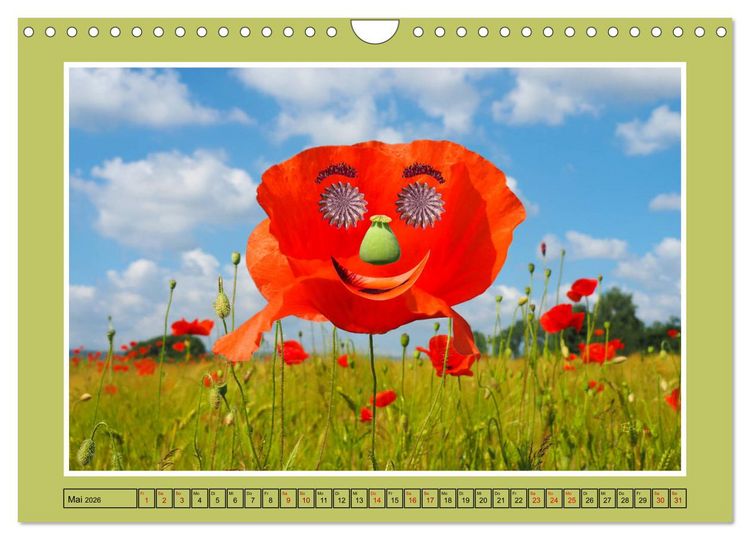 Produktbild: L&auml;cheln in Landschaften (Wandkalender 2026 DIN A4 quer), CALVENDO Monatskalender