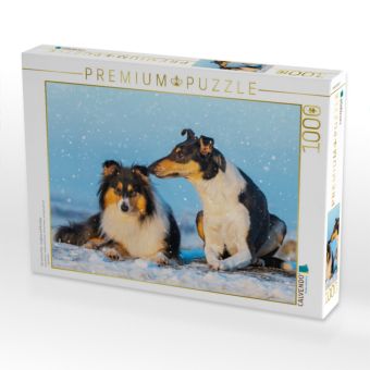 Produktbild: CALVENDO Puzzle Ein sch&ouml;nes Paar - Langhaar und Kurzhaar | 1000 Teile Lege-Gr&ouml;&szlig;e 64x48cm Foto-Puzzle f&uuml;r gl&uuml;ckliche Stunden