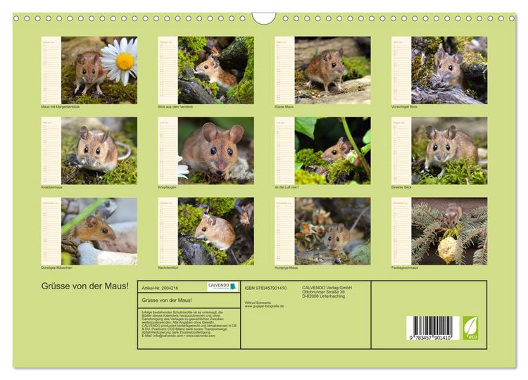 Produktbild: Gr&uuml;sse von der Maus! (Wandkalender 2026 DIN A3 quer), CALVENDO Monatskalender