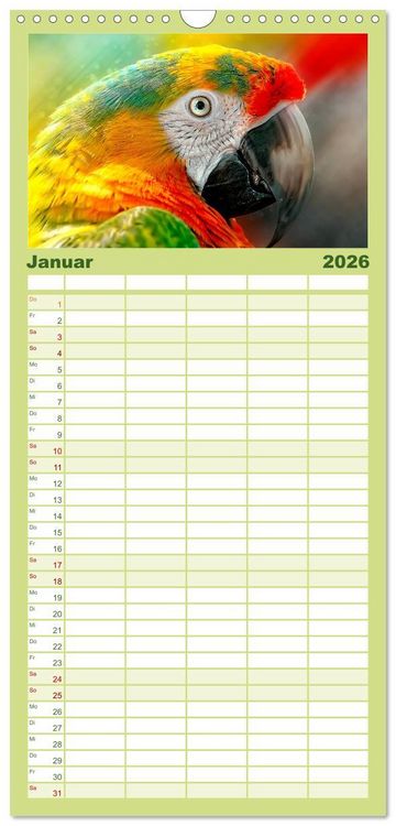 Produktbild: Familienplaner 2026 - Mein bunter Papagei mit 5 Spalten (Wandkalender, 21 x 45 cm) CALVENDO