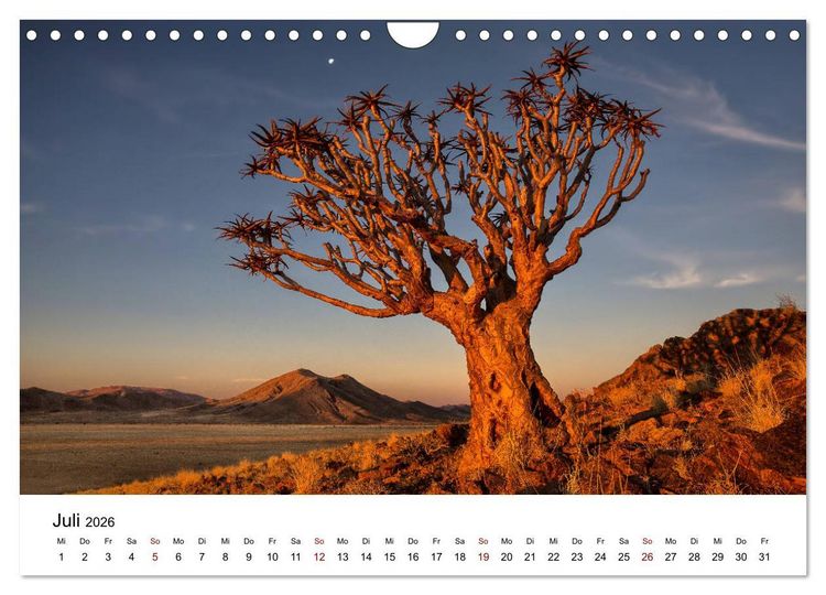 Produktbild: B&auml;ume in Namibias Landschaften (Wandkalender 2026 DIN A4 quer), CALVENDO Monatskalender