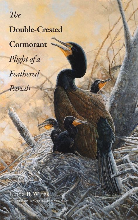 Produktbild: Double-Crested Cormorant
