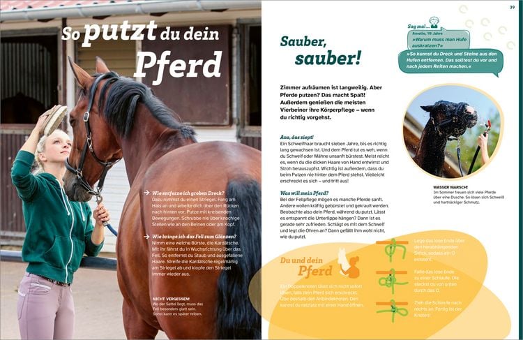 Produktbild: WAS IST WAS Pferde. Freunde, Freiheit, Abenteuer